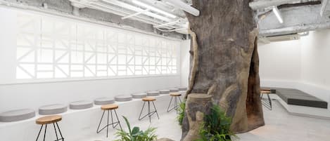 منطقة الاستقبال