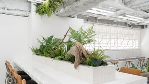 A modern office space with a long white reception desk, multiple bar stools, and a variety of indoor plants. - ZONE SHINSAIBASHI WEST (Osaka)