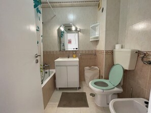 Hair dryer, bidet, towels, toilet paper