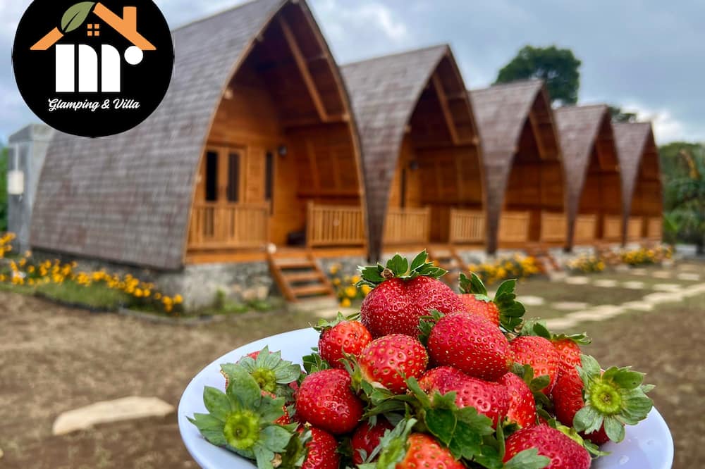 MR GLAMPING & VILLA