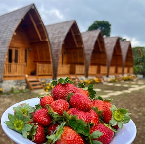 A wooden cabin-style hotel with multiple rooms, a garden with flowers, and a plate of strawberries in the foreground. - MR GLAMPING & VILLA (Bedugul)