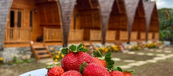 MR GLAMPING & VILLA