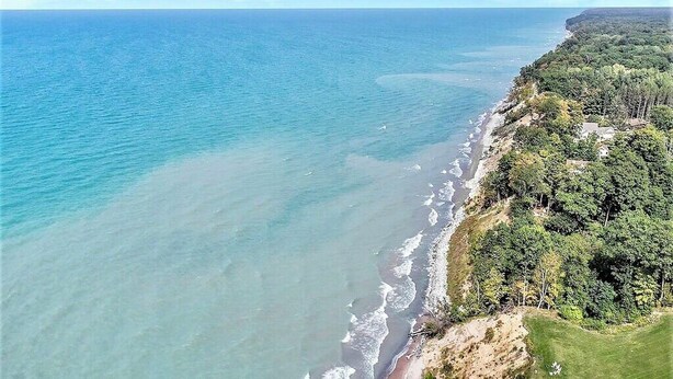 A coastal landscape with a beach and dense forest.