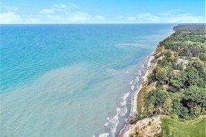 Un paisaje costero con una playa y un bosque denso.