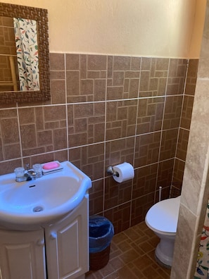 Shower, towels, soap, toilet paper