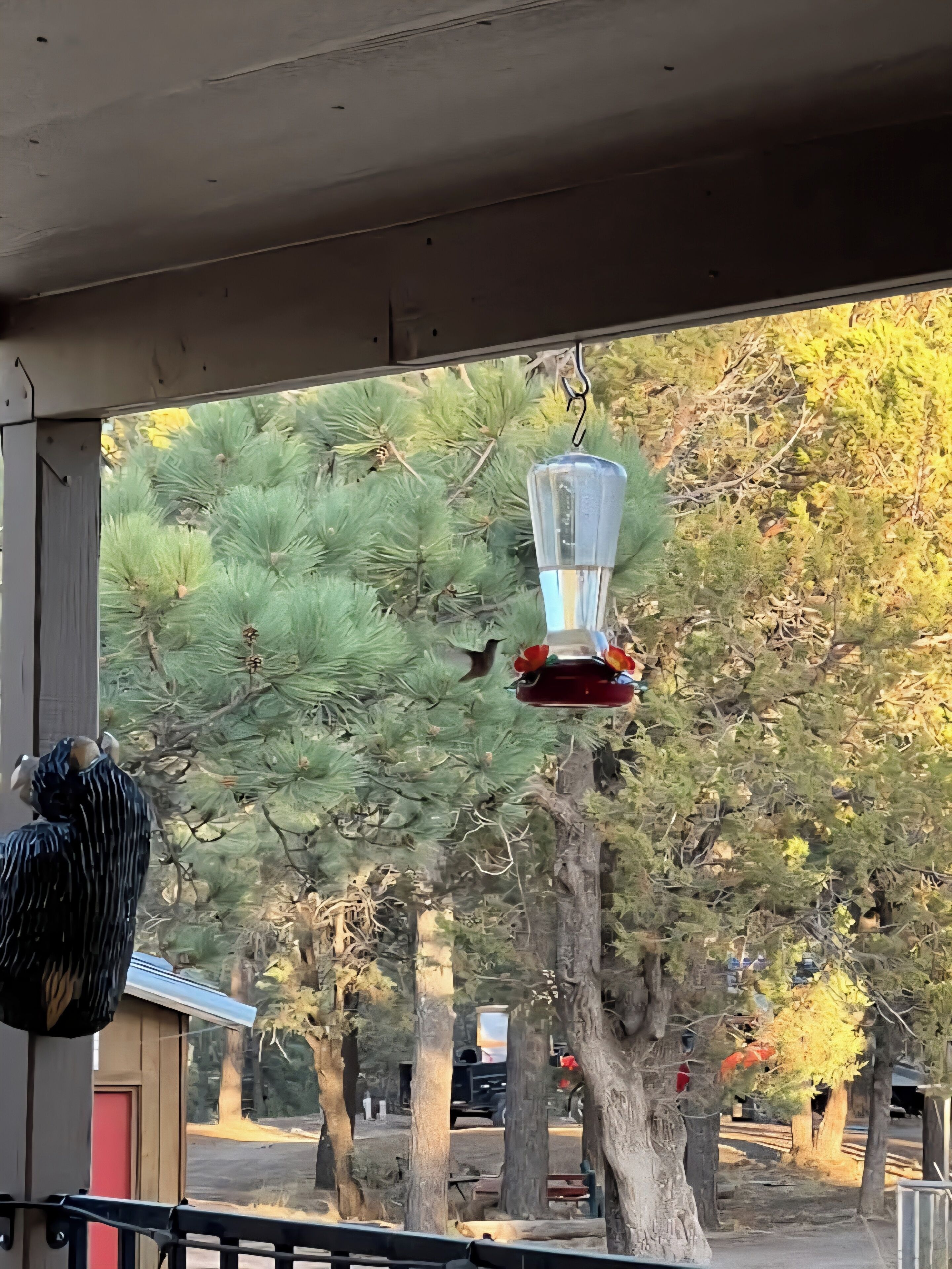 Vue depuis l’hébergement