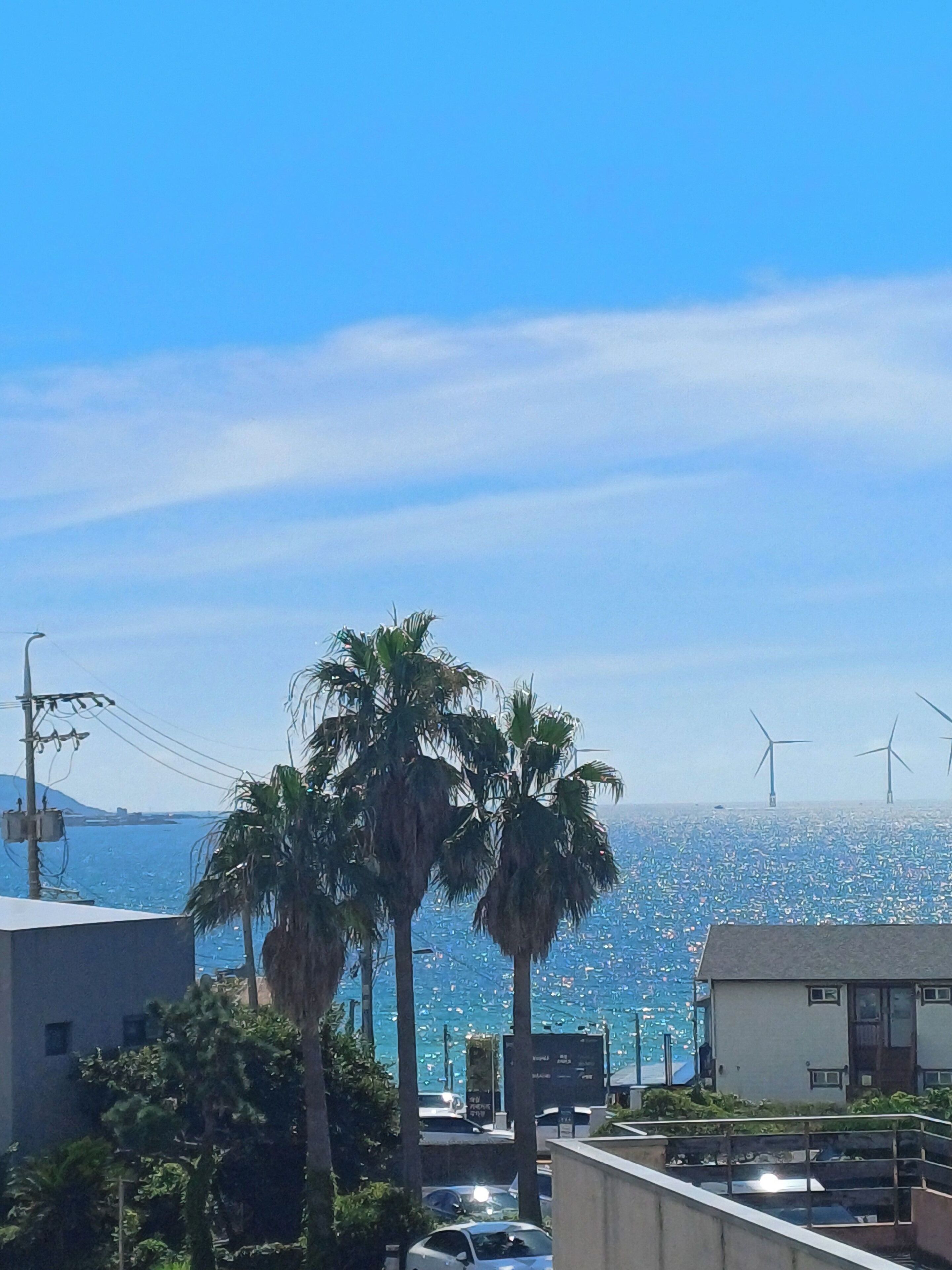 Vista desde la habitación