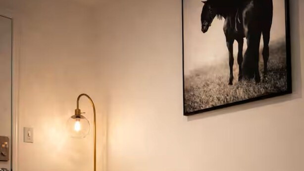 A living room with a white sofa, a glass coffee table, a wall-mounted light, and a framed picture of a horse.