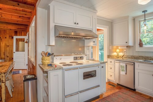 3 Bedroom Dog-Friendly Cabin Near Dupont State Forest