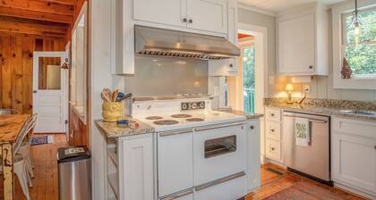 3 Bedroom Dog-Friendly Cabin Near Dupont State Forest