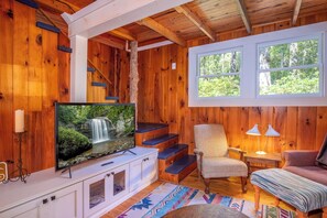 Televisión, chimenea y libros 