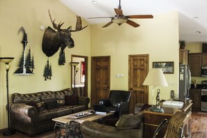 TV, fireplace, DVD player