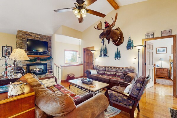 TV, fireplace, DVD player