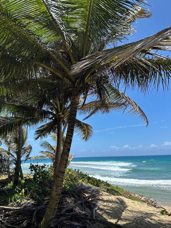 Perto da praia, toalhas de praia