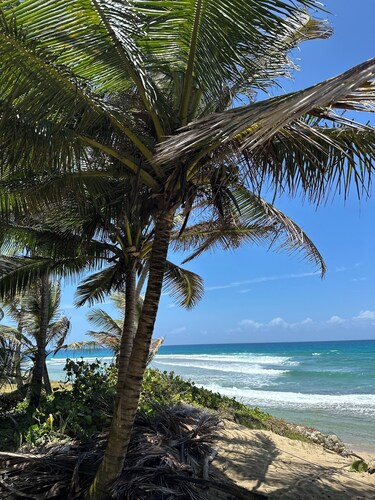 Roga Villa- Private, Tropical, Pool, Sauna, Ice Bath, 5 min to Encuentro beach