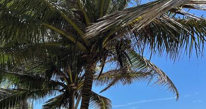 Roga Villa- Private, Tropical, Pool, Sauna, Ice Bath, 5 min to Encuentro beach