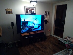 Television