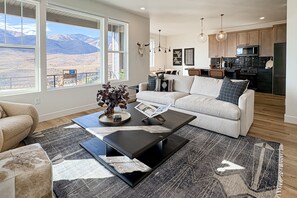 TV, fireplace, books