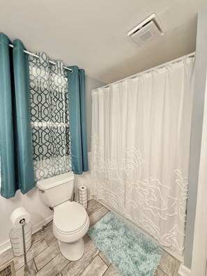Shower, towels, toilet paper