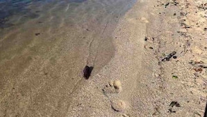 Perto da praia 