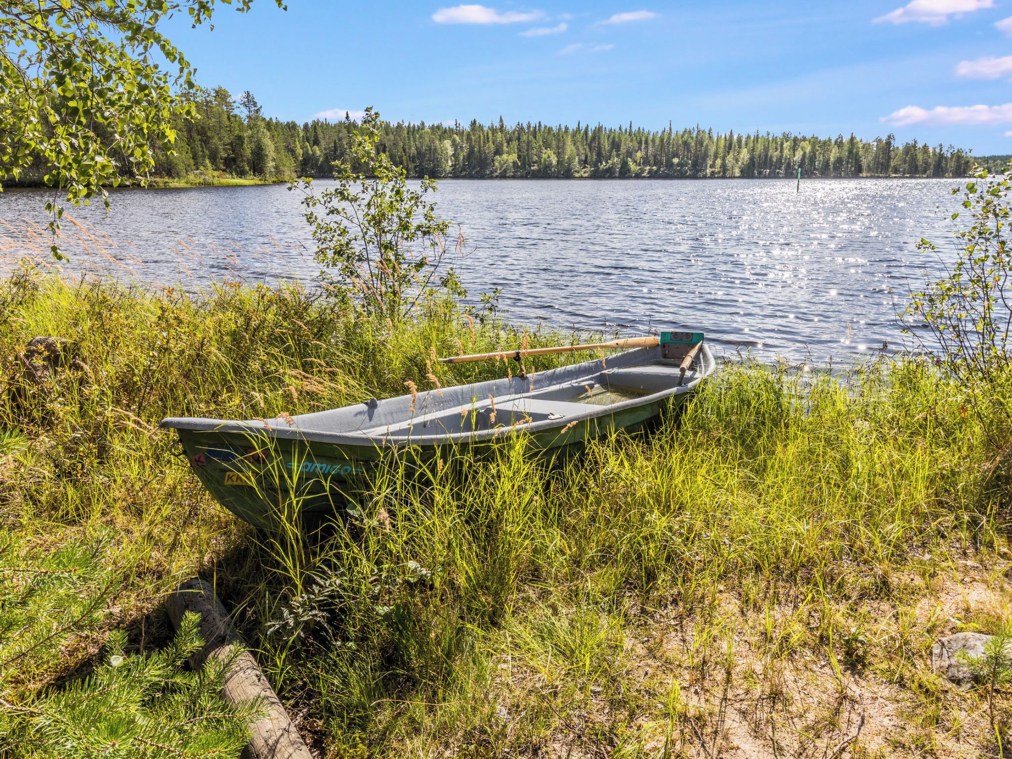 A small green boat on a grassy shore by a calm lake with a forest in the background.