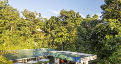 Luxury Apartments Nauyaca