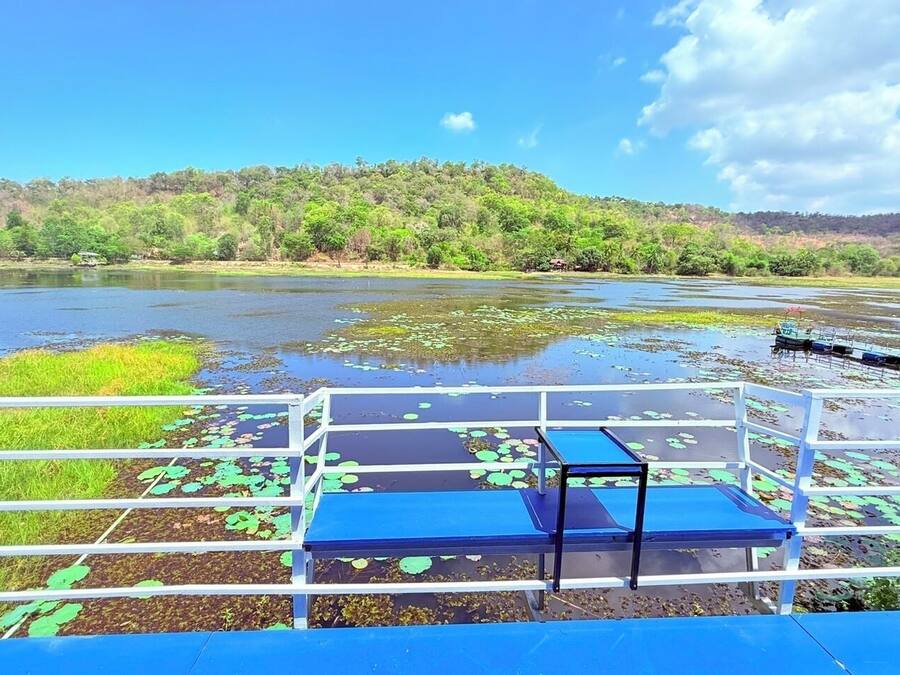 A view from a boat with a railing, a blue deck, and a forested hill in the background.