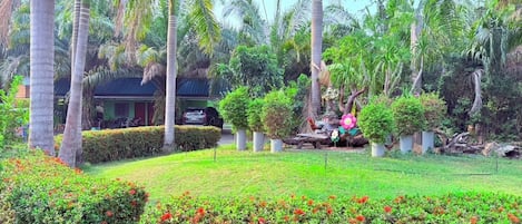 Un exuberante jardín con palmeras, un estanque y un pequeño puente.