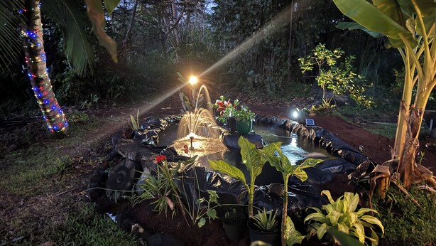A garden with a fountain, surrounded by potted plants and a decorative tree wrapped in lights.