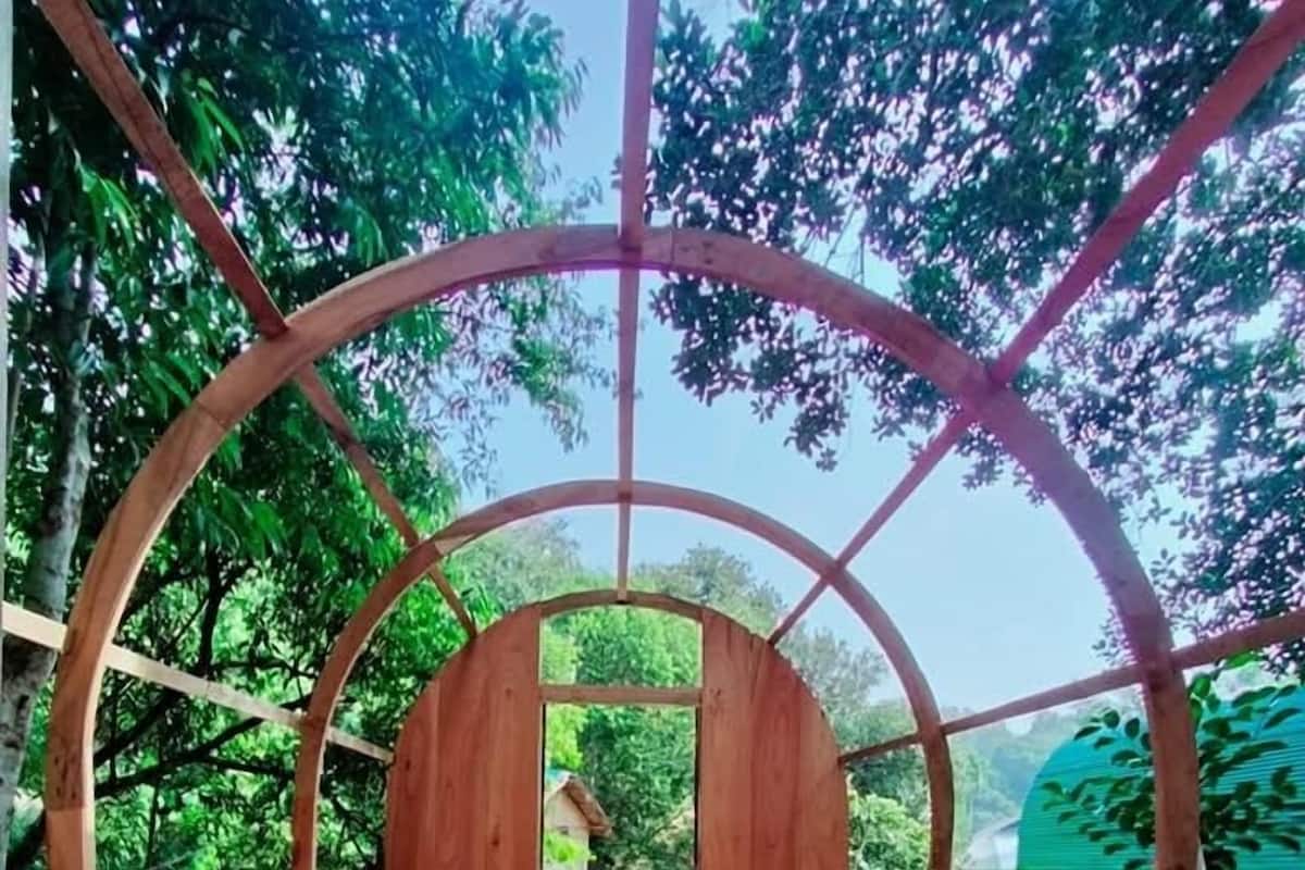 Deluxe Tree House | Free WiFi
