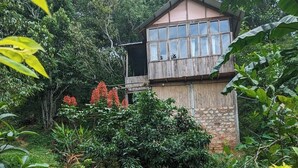 Uma casa de madeira rústica com varanda, rodeada por vegetação exuberante e um caminho de terra.