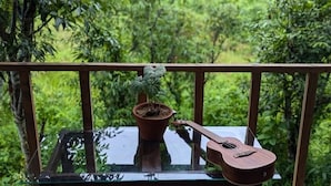 Varanda com vaso de planta e um violão.