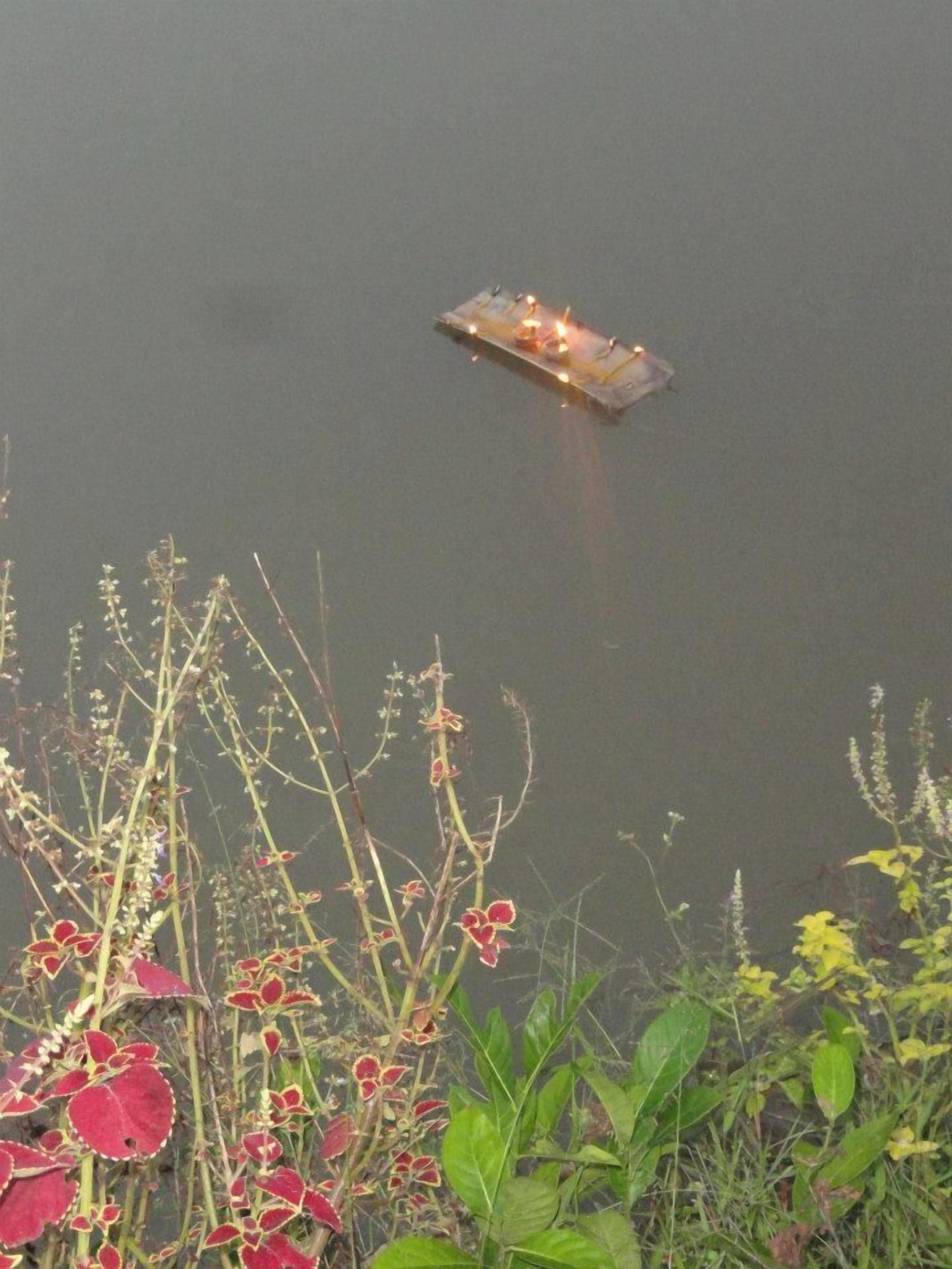 A boat on a calm body of water, surrounded by various plants and vegetation.