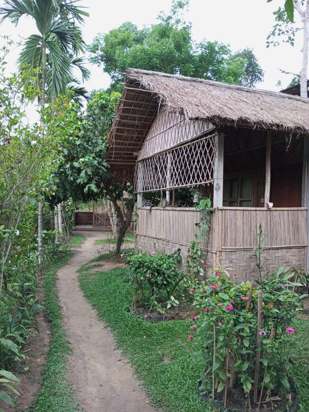 A rustic thatched-roof house with a lattice window, surrounded by a garden with various plants and a dirt path leading to it.