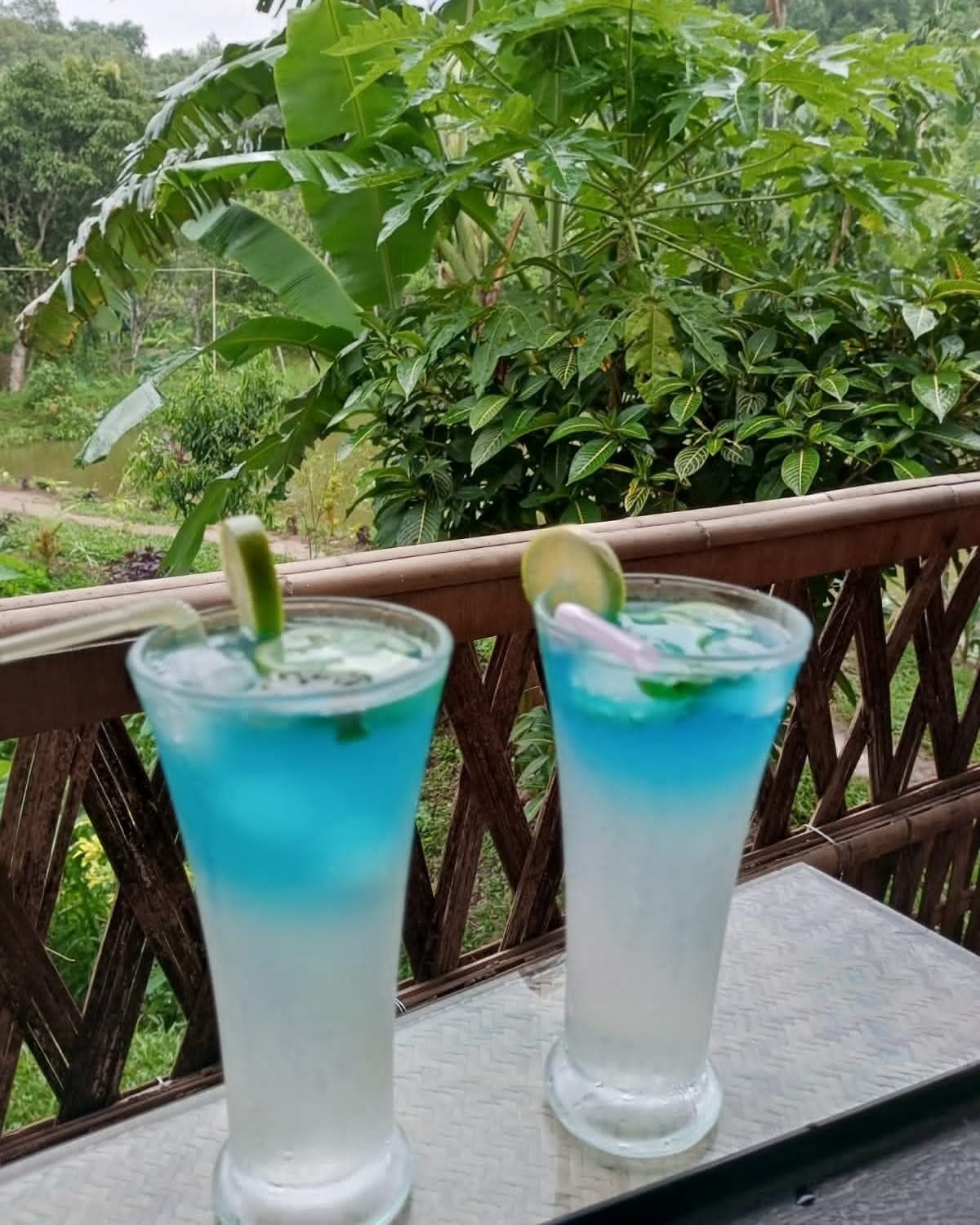 Twee glazen blauw drank op een houten tafel, met een groene achtergrond.
