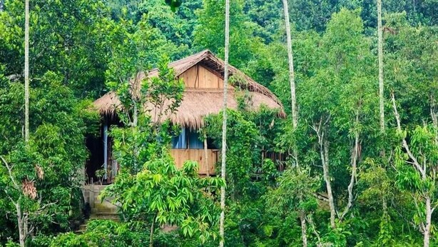 Uma casa de madeira com telhado de palha, rodeada por folhagem verde exuberante.
