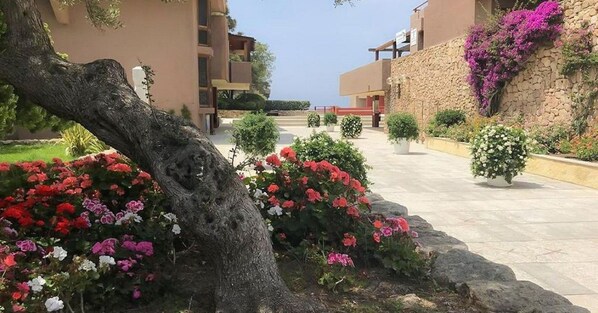 Garden - Apartment in Sardinia With Sea View (Olbia)