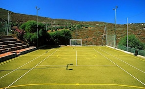 Un terrain de sport extérieur, doté de poteaux de but, entouré de marches et de verdure.