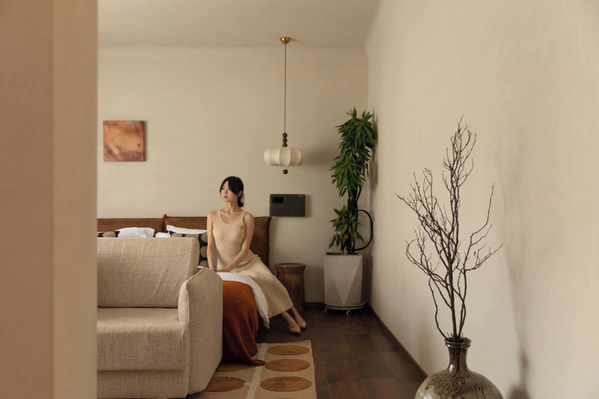 Une pièce comprenant un canapé, un lampadaire, une plante en pot et un vase avec des branches.