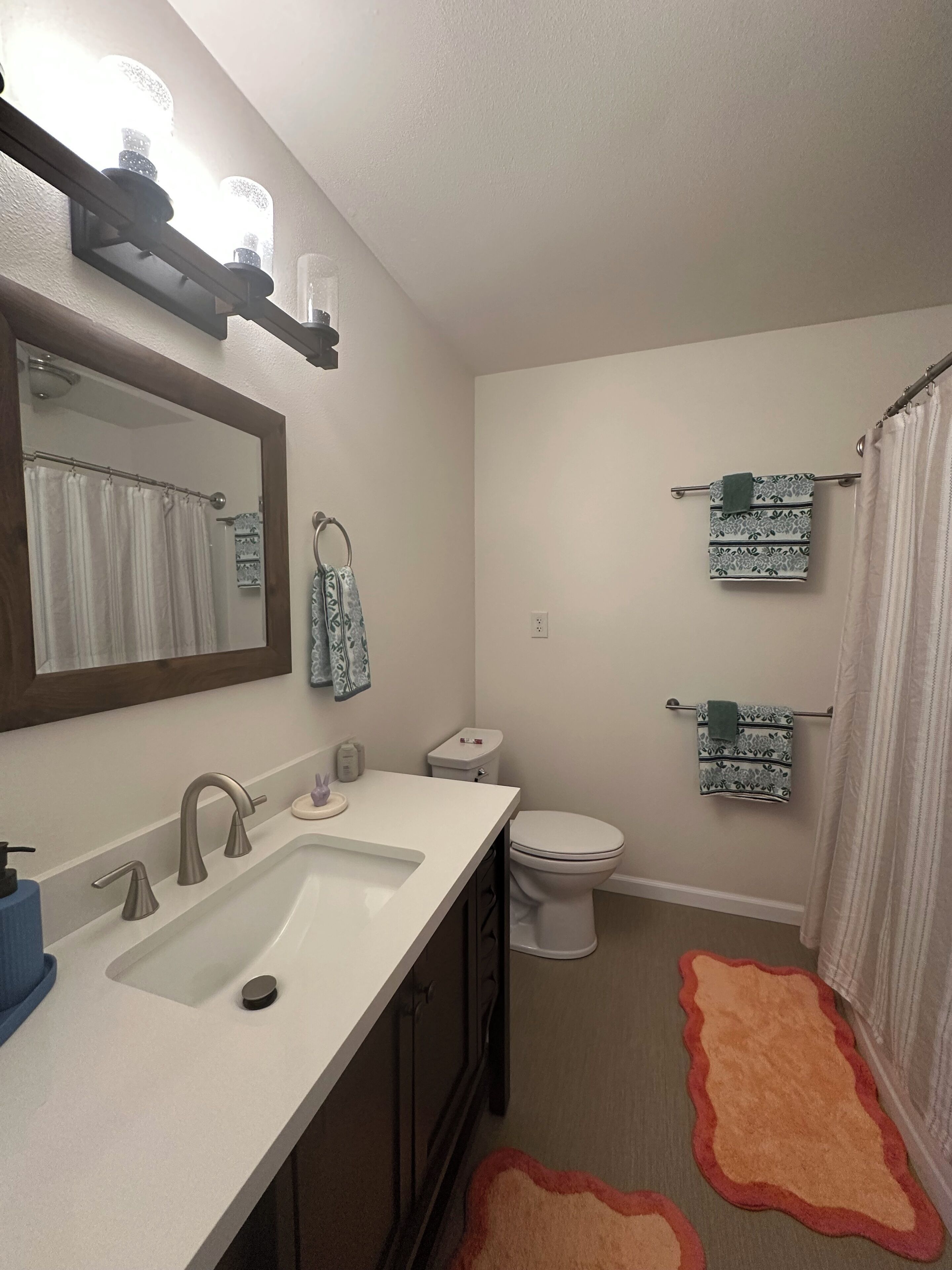 Hair dryer, towels, soap, toilet paper