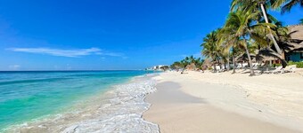 MK Beach playa del carmen