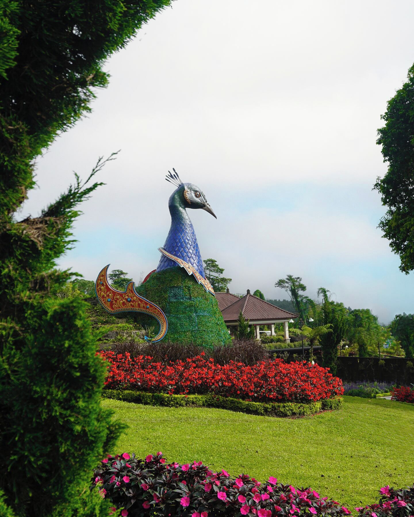 A peacock-shaped topiary sculpture surrounded by vibrant red flowers and lush greenery.