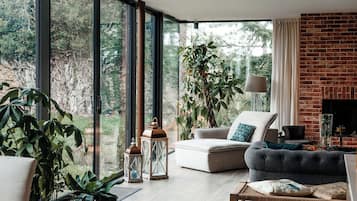 Televisión y chimenea