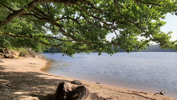 Ein Sandstrand mit einer großen Felsformation und einem Baum, der Schatten spendet.