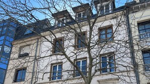 Un bâtiment avec de nombreuses fenêtres, un arbre devant et une devanture de magasin avec un logo vert.