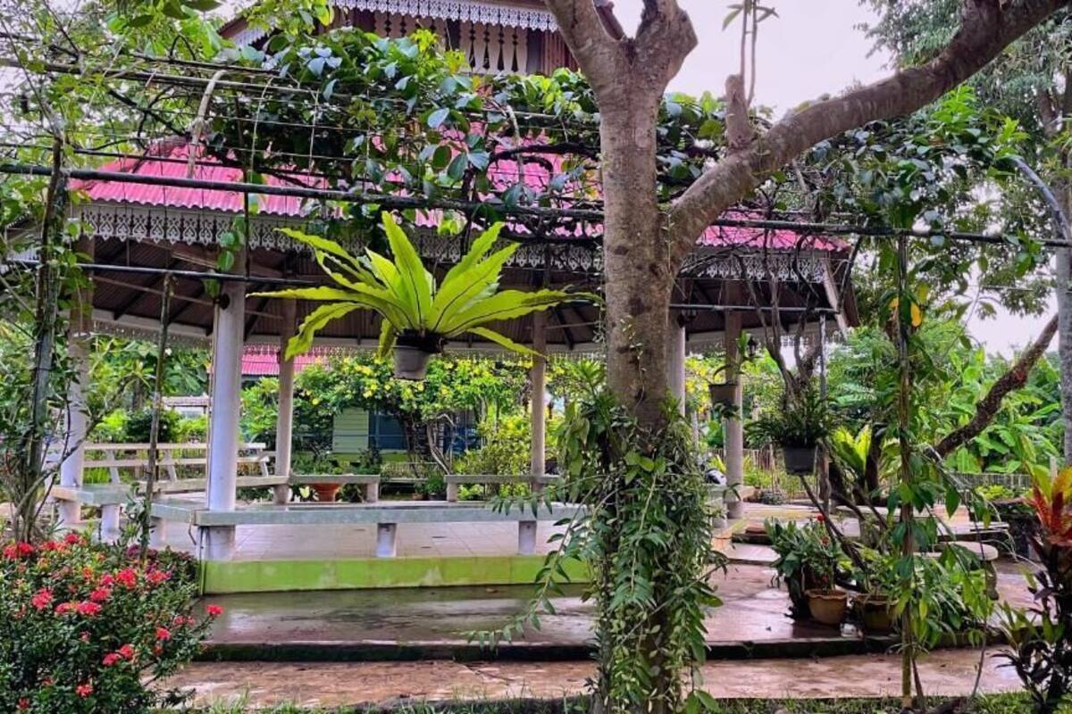 Standard Room, Patio, Garden View | Garden view
