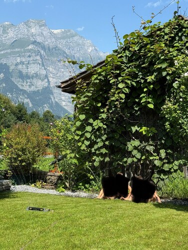 Schweizerhaus Glarus - Historic with charm, ideal for groups and families
