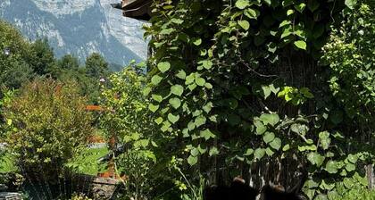 Schweizerhaus Glarus - Historic with charm, ideal for groups and families