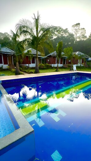 Indoor pool, outdoor pool - RevTree Dark Forest Inn (Kamara)