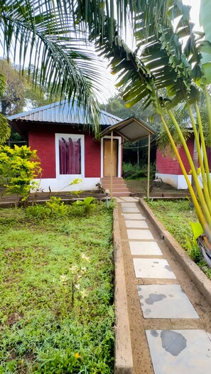 Front of property - RevTree Dark Forest Inn (Kamara)